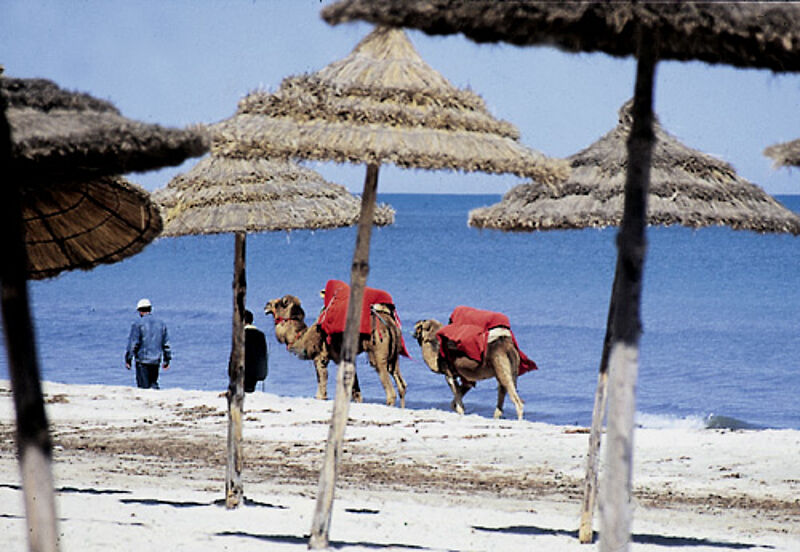 Bis Mitte Februar bieten TUI und Rewe Touristik keine Reisen nach Tunesien an