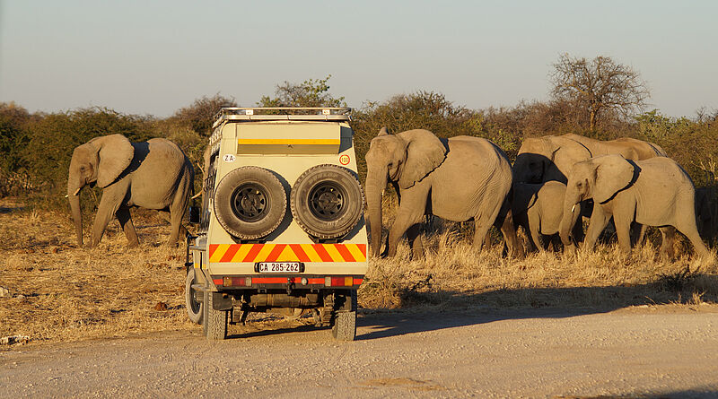 Gerade auf Safari könne gut Abstand gehalten werden, argumentieren die Afrika-Veranstalter