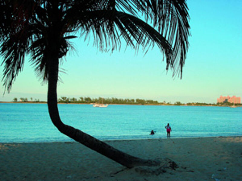 Von der Messe direkt an den Strand: Im Hotel Atlantis Paradise in Nassau fand der Caribbean Marketplace 2008 statt.