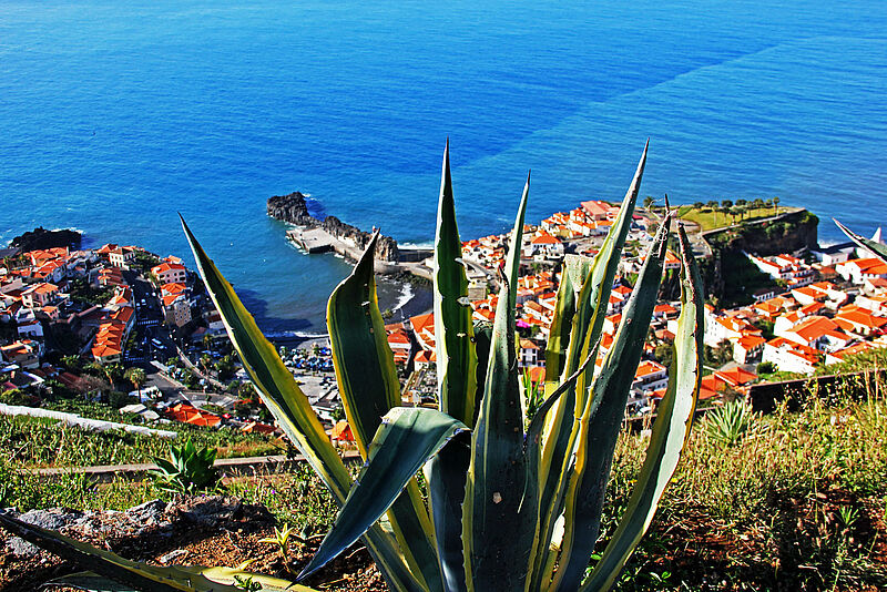Madeira ist das Ziel eines Famtrips Ende November