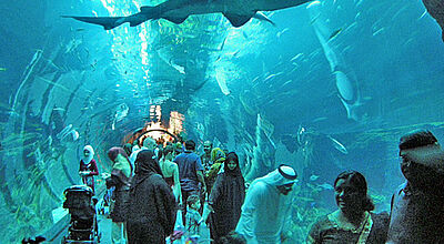 Die Dubai Mall ist gleichzeitig ein riesiges Aquarium.
