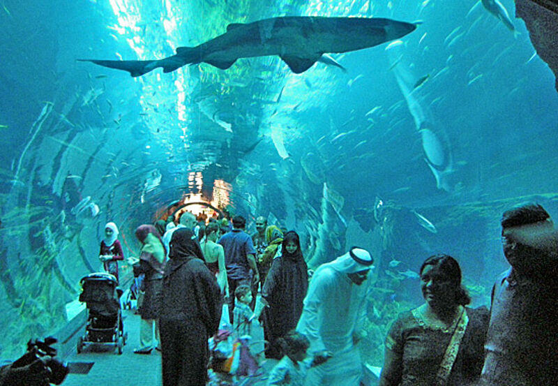 Die Dubai Mall ist gleichzeitig ein riesiges Aquarium.