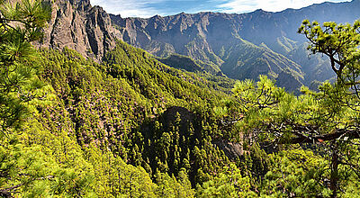 Um in der Caldera de Taburiente zu wandern, braucht man eine gute Kondition. Um in der Caldera de Taburiente zu wandern, braucht man eine gute Kondition.