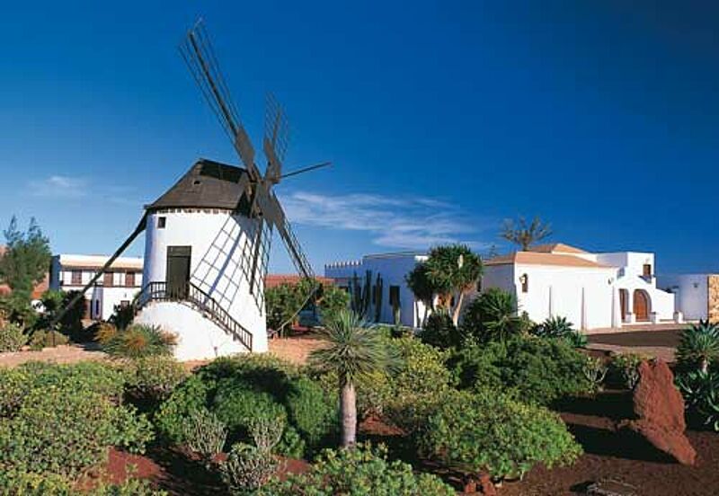 Auch Fuerteventura – hier Mühlen im Ort Antigua – fliegt FTI mit den neuen Vollchartern an