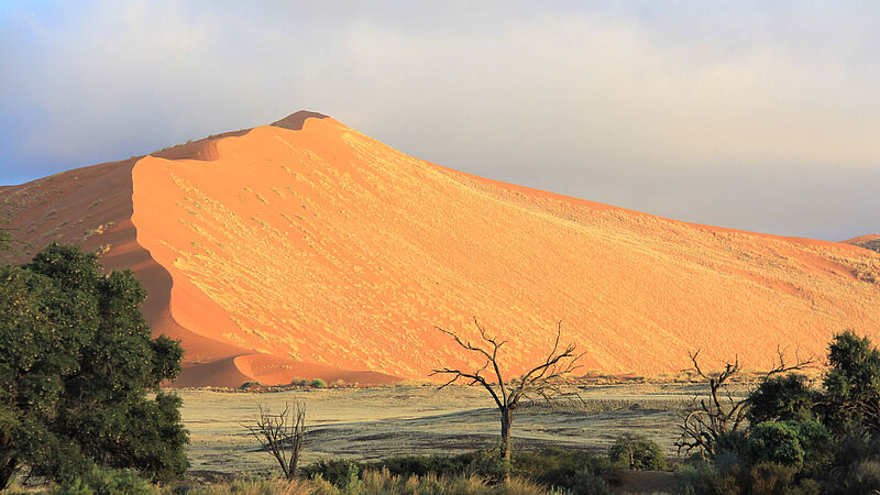 Nun können Touristen auch ohne Impfnachweis und PCR-Test nach Namibia einreisen und etwa das Sossusvlei-Gebiet der Namib erkunden