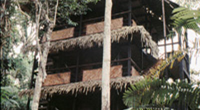 Von der Tapir Lodge aus wird der Regenwald erkundet.