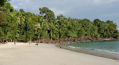 Einige Tropicana-Touren zeigen den Nationalpark Manuel Antonio, einen der beliebtesten Parks in Costa Rica