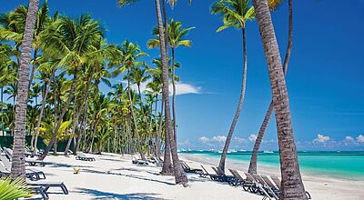 Liegestuhl am Strand mit Blick auf türkisfarbenes Meer, Palmen wiegen sich im Wind.