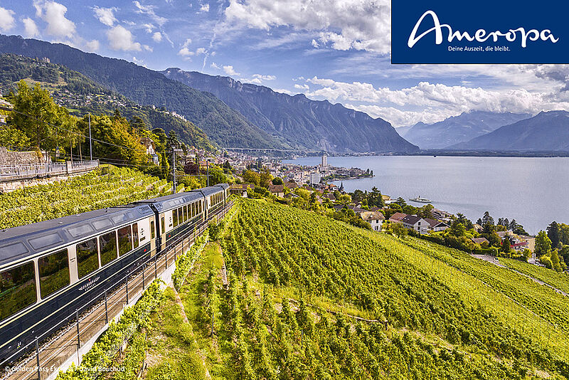 Dank des gut ausgebauten Schienennetzes erreichen Reisende per Bahn Orte in der Schweiz, die sonst nur schwer zugänglich sind