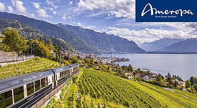 Dank des gut ausgebauten Schienennetzes erreichen Reisende per Bahn Orte in der Schweiz, die sonst nur schwer zugänglich sind