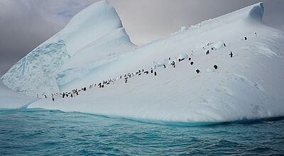 Nicko Cruises debütiert bereits im kommenden Winter in der Antarktis