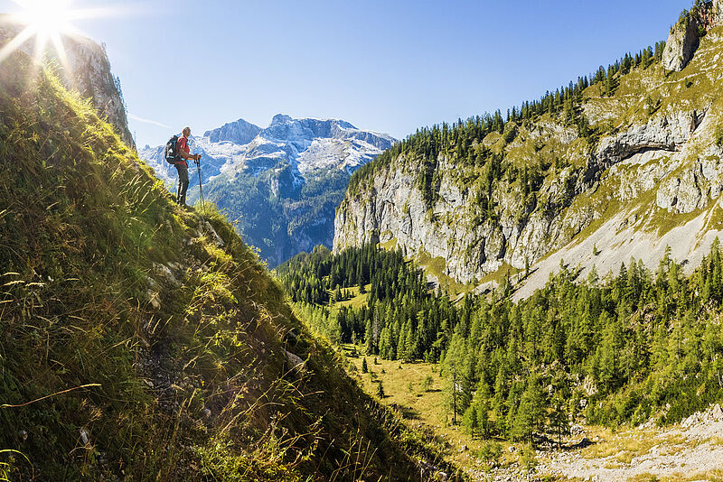 Ab in die Berge: Ein Viertel der Deutschen, die im Inland Urlaub machen wollen, zieht es nach Bayern. Foto: Dieter Meyrl/istockphoto