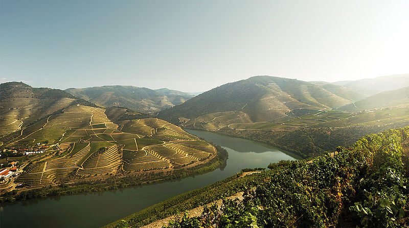 Die Kulturlandschaft rund um die Weinhänge entlang des Douro ist als Weltkulturerbe klassifiziert