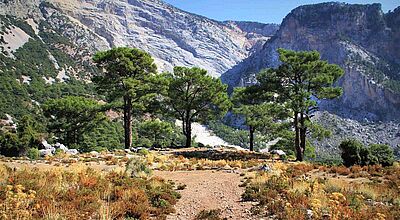 Zum Türkei-Programm von Ikarus zählt auch Wandern auf dem Lykischen Weg