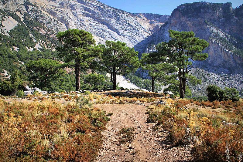 Zum Türkei-Programm von Ikarus zählt auch Wandern auf dem Lykischen Weg