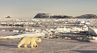Das Nordpolarmeer ist bei schönem Wetter ein einzigartiges Erlebnis Foto: Norbert Rosing