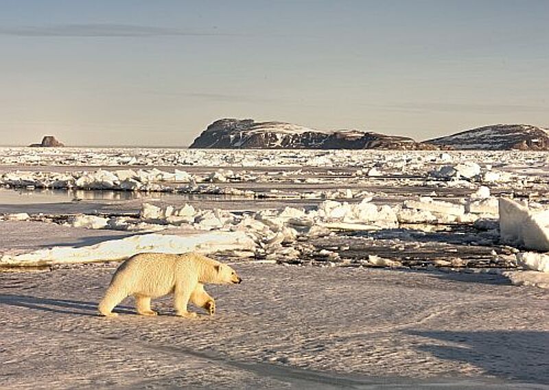 Das Nordpolarmeer ist bei schönem Wetter ein einzigartiges Erlebnis Foto: Norbert Rosing