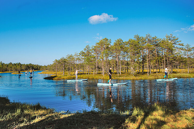 SUP-Boarding im Moor – Estland punktet mit viel Natur und Nachhaltigkeit