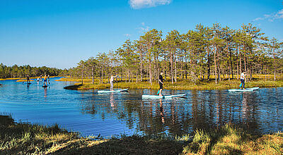 SUP-Boarding im Moor – Estland punktet mit viel Natur und Nachhaltigkeit