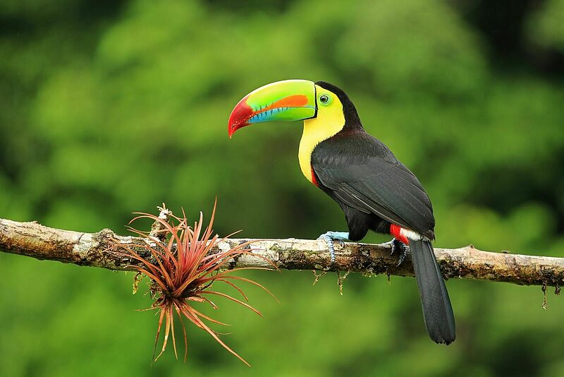 Die neue Reise „Tukan“ führt nach Costa Rica und Nicaragua