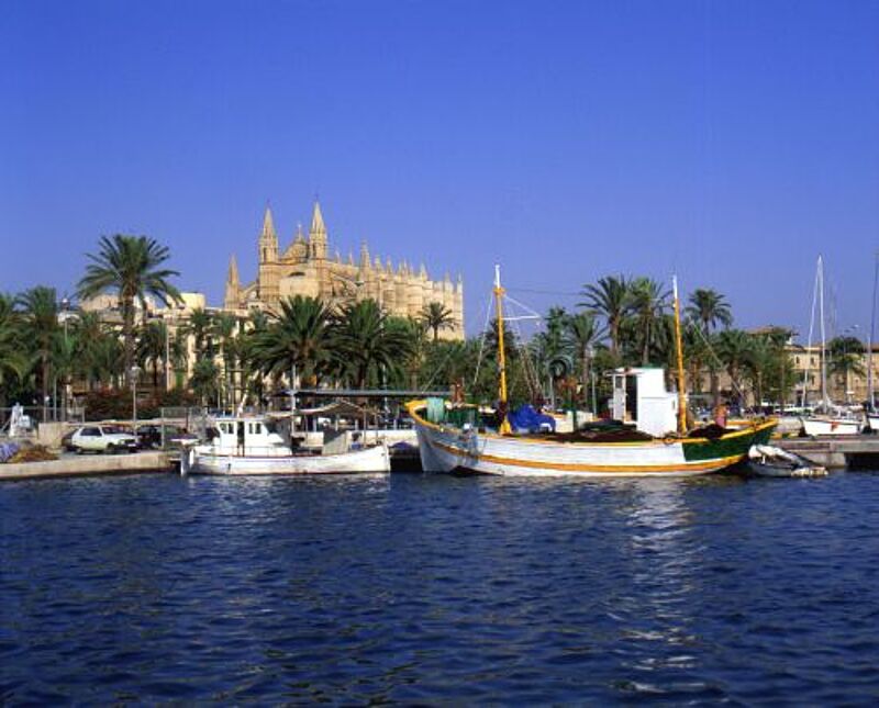 Palma war zum wiederholten Mal Ziel eines Terroranschlags. Foto: TUI Palma war zum wiederholten Mal Ziel eines Terroranschlags. Foto: TUI