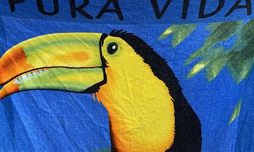 Cooler Slogan: "Pura Vida" ist fest im Sprachgebrauch der Menschen in Costa Rica verankert