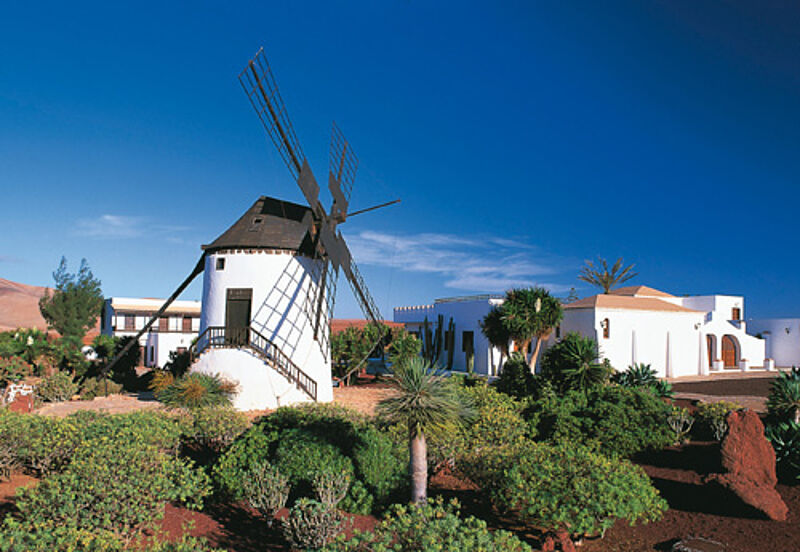 Große Nachfrage: Auch nach Fuerteventura bietet TUI im Sommer zusätzliche Flugplätze