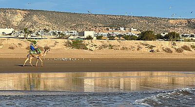 Tunesien ist nach wie vor stark gefragt