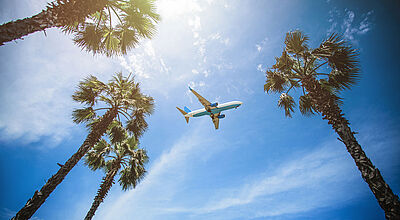 Flugzeug fliegt zwischen Palmen am blauen Himmel, tropische Urlaubsatmosphäre.