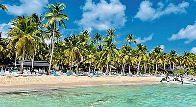 Es sind vor allem die Strände wie hier in der Dominikanischen Republik, die Urlauber in die Karibik locken Türkises Meer mit einem und feinsandiger Strand mit Liegen, im Hintergrund sind Palmen und auch ein Hotel zu sehen