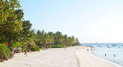 TUI baut einen Robinson-Club auf Sansibar, hier der Strand am Riu-Hotel