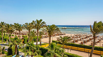 Auch das TUI-Magic-Life-Redsina-Sharm-el Sheik ist bereits für die nächste Sommersaison buchbar. Foto: TUI Blick auf einen privaten Sandstrand eines TUI-Urlaubsresorts im ägyptischen Sharm el Sheik, gesäumt von Stroh-Sonnenschirmen. Im Vordergrund stehen Palmen, im Hintergrund liegt blaues Meer.