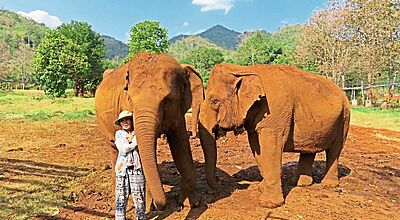 Saengduean Lek Chailert hat ihr Leben dem Schutz der Elefanten verschrieben