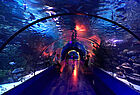 Unterwasser-Tunnel im Aquarium von Antalya
