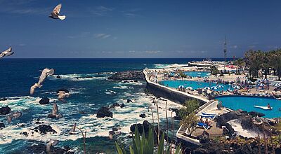 Die ersten zwei Tage der Reise verbringen die Famtrip-Teilnehmer in Puerto de la Cruz im Norden der Insel Blick auf das Meerwasserschwimmbad „Lago Martiánez“ in Puerto de la Cruz auf Teneriffa. Im Vordergrund fliegen Möwen über die felsige Atlantikküste, während sich im Hintergrund Badegäste unter blauen Sonnenschirmen rund um die türkisfarbenen Pools entspannen. Palmen und ein klarer Himmel unterstreichen das sommerliche Urlaubsambiente.