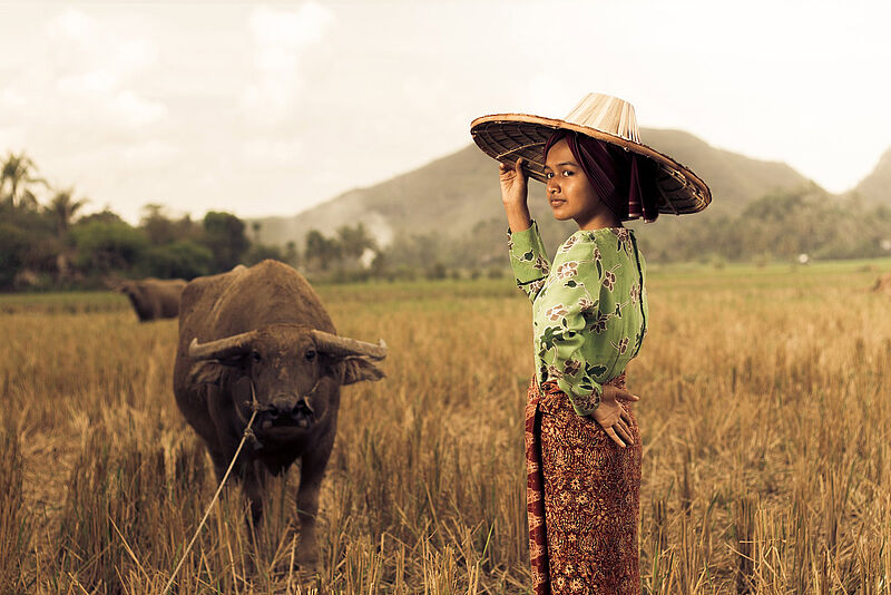 Indonesien ist eines der neuen Ziele im Portfolio von Yolo. Foto: ihsanadity/pixabay