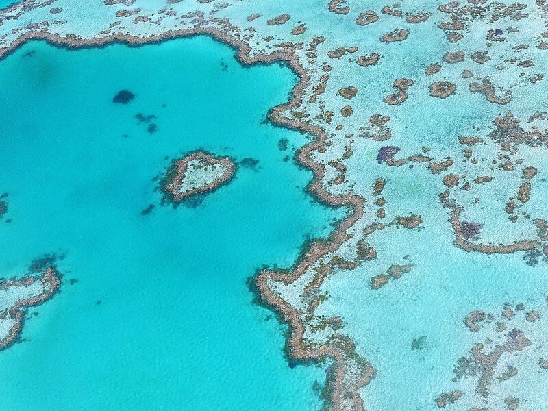 In Queensland können Touristen mit Meeresbiologen die Unterwasserwelt erleben