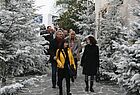 Die 2.500 aufgestellten Weihnachtsbäume im Park sind echt, der Rauhreif ist künstlich