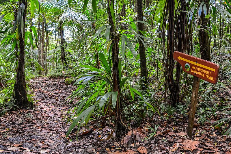 Ein Wanderweg durch den Urwald, rechts steht ein Holzschild Waitukubuli National Trail