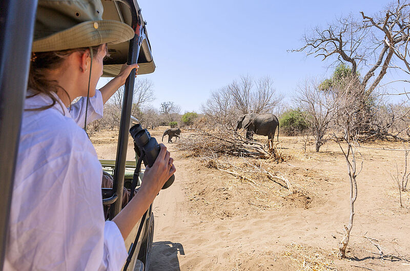 Fynch-Hatton organisiert unter anderem Erlebnistouren durch Namibia. Foto: minoandriani/istock