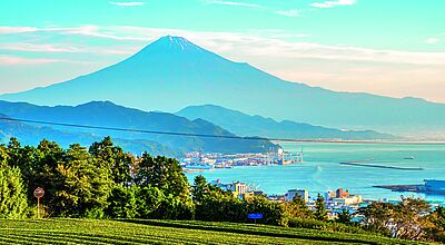 In der Präfektur Shizuoka immer im Mittelpunkt: der Fuji. Auch vom Shida House ist der heilige Berg der Japaner zu sehen