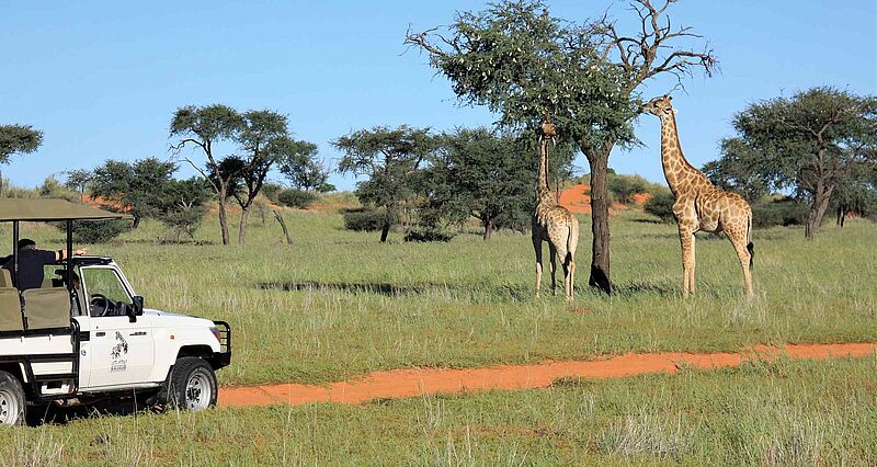 Noch bis zum 24. November können sich Reiseverkäufer für einen Outdoor-Famtrip nach Namibia anmelden