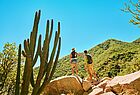 Im Nationalpark Cabo Pulmo gibt es viele der riesigen Kakteen ... Foto: Visit Los Cabos