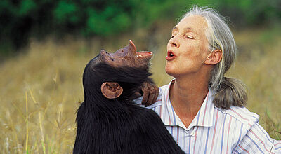 Die Umweltschützerin Jane Goodall leiht einer besonderen Kollektion von Tierreisen im Portfolio von G Adventures ihren Namen