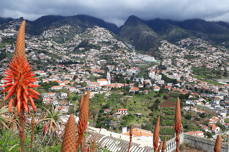 Madeira hat die Einreisebestimmungen für Geimpfte gelockert