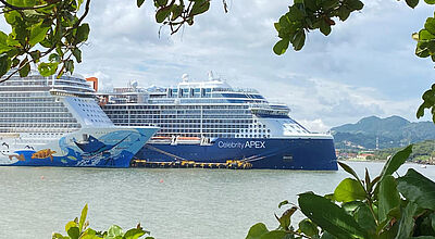 Auch Einreisebestimmungen für Kreuzfahrten, hier in der Dominikanischen Republik, sind nun über den Destination Manager von A3M abrufbar. Foto: mg Durch grünes Blattwerk fällt der Blick auf zwei riesige, nebeneinander liegende Kreuzfahrtschiffe an der Pier von Puerto Plata in der Dominikanischen Republik. Das vordere hat einen bunten, kunstvoll gestalteten Rumpf, das andere einen royal-blauen.