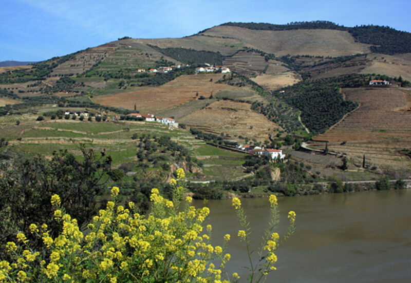 Nicko Tours hat die Kapazitäten auf dem portugiesischen Fluss Douro verdoppelt