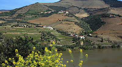 Nicko Tours hat die Kapazitäten auf dem portugiesischen Fluss Douro verdoppelt