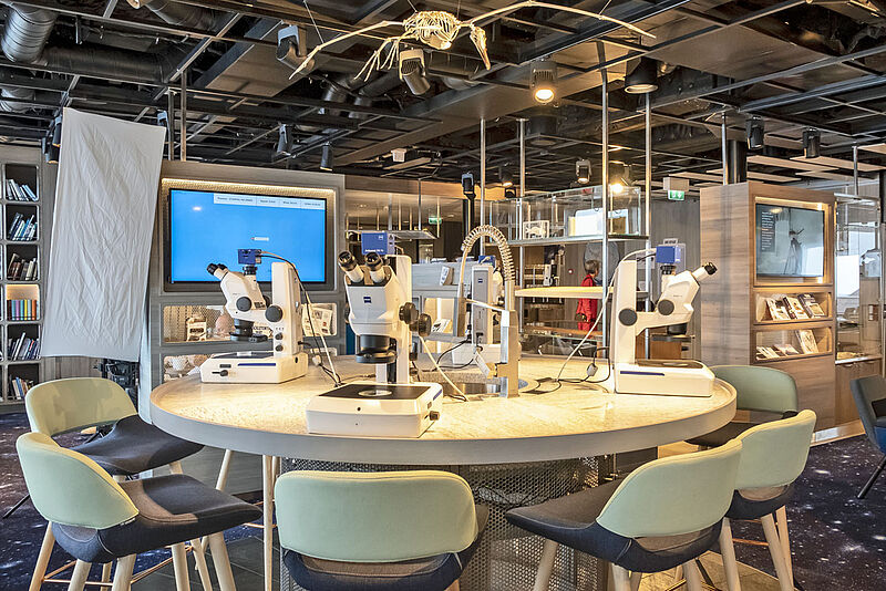 Blick in das Forschungscenter an Bord des Expeditionsschiffs Roald Amundsen Mikroskope stehen auf einem Tisch im Forschungscenter an Bord des Expeditionsschiffs Roald Amundsen