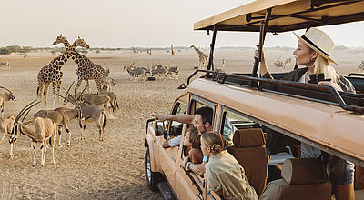 Auch das ist Abu Dhabi: Wildtiersafari auf der Insel Sir Bani Yas. Foto: DCT Abu Dhabi